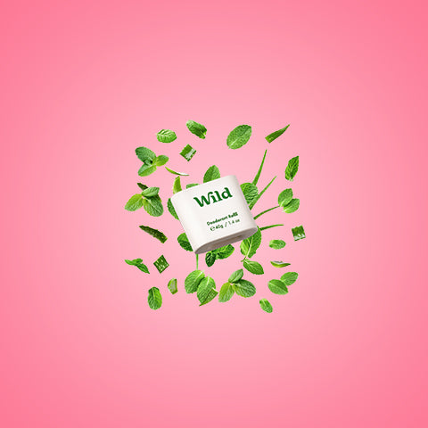 Mint & Aloe Vera Stick Deodorant Refill